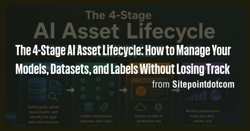The 4-Stage AI Asset Lifecycle: How to Manage Your Models, Datasets ...