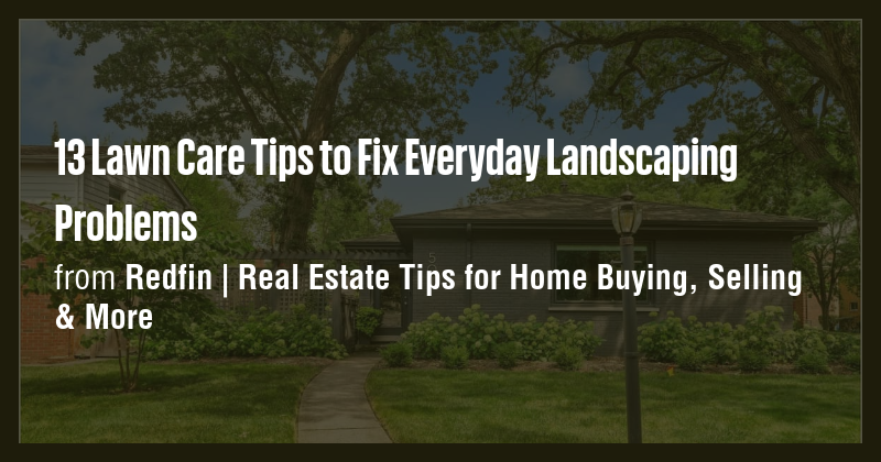 13 Lawn Care Tips to Fix Everyday Landscaping Problems - Briefly