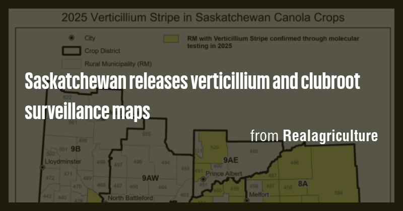 Saskatchewan releases verticillium and clubroot surveillance maps - Briefly