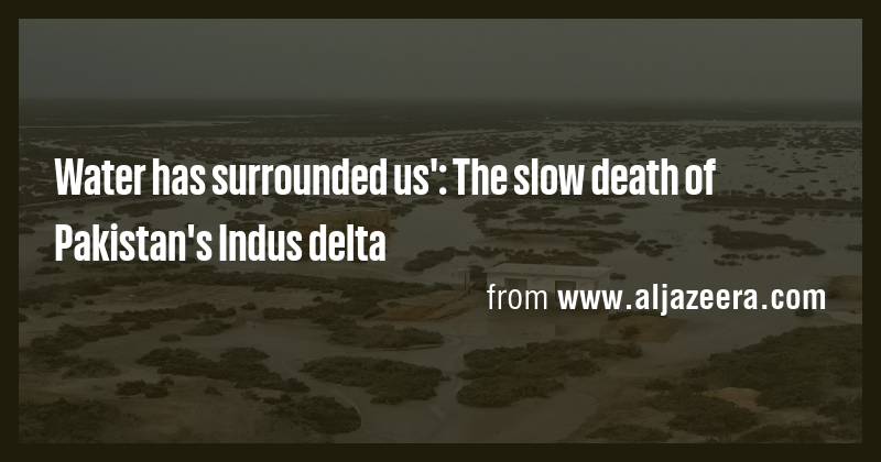 Water has surrounded us': The slow death of Pakistan's Indus delta ...