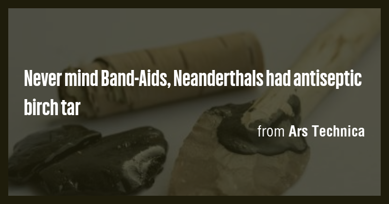 Never mind Band-Aids, Neanderthals had antiseptic birch tar - Briefly