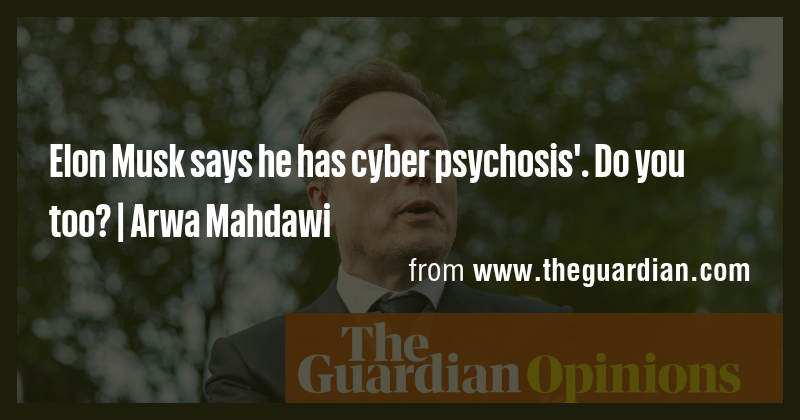 Elon Musk says he has experienced cyber psychosis