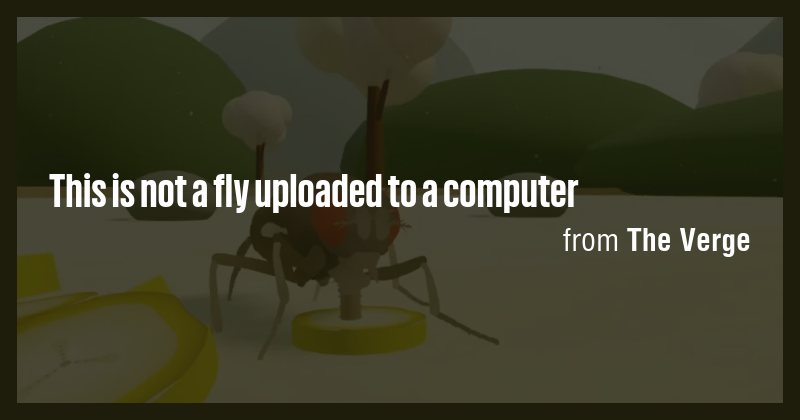 This is not a fly uploaded to a computer - Briefly