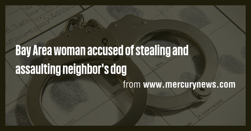 Bay Area woman accused of stealing and assaulting neighbor's dog - Briefly