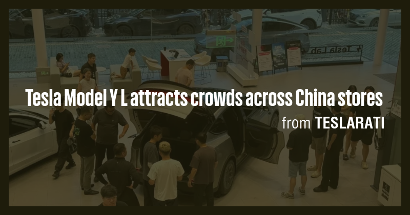 Tesla Model Y L attracts crowds across China stores - Briefly