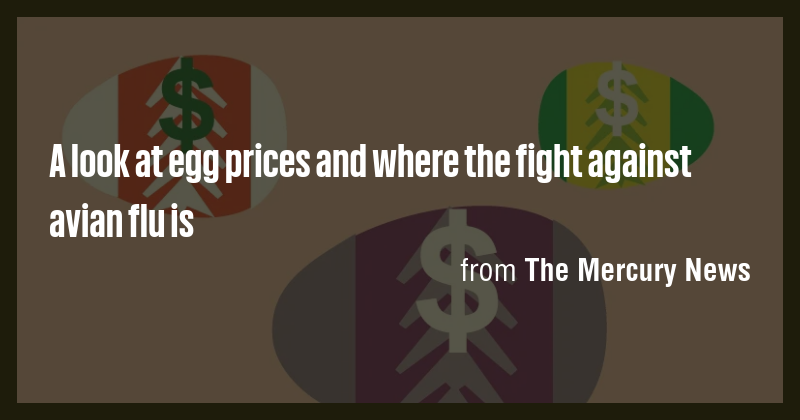 A look at egg prices and where the fight against avian flu is - Briefly