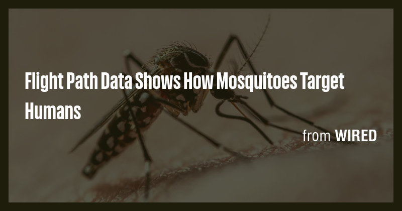 Flight Path Data Shows How Mosquitoes Target Humans - Briefly