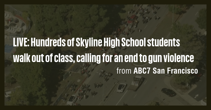 LIVE: Hundreds of Skyline High School students walk out of class ...