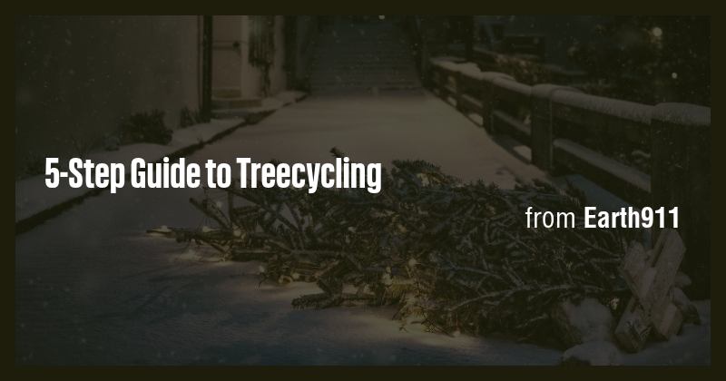 5-Step Guide to Treecycling - Briefly
