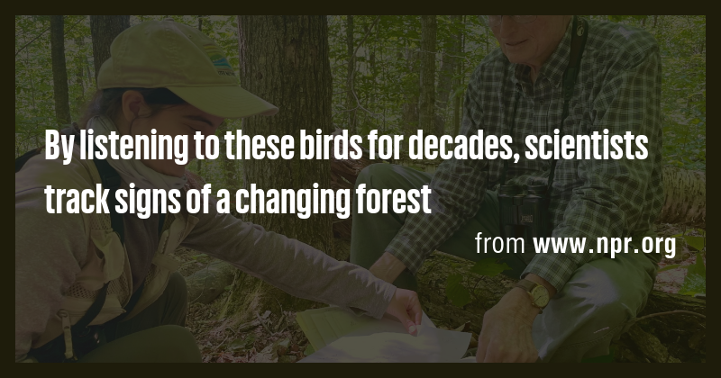 By listening to these birds for decades, scientists track signs of a ...