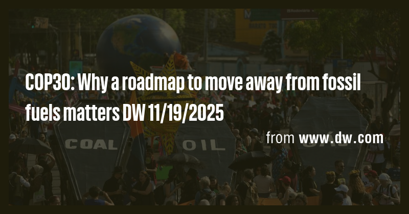 COP30: Why a roadmap to move away from fossil fuels matters DW 11/19 ...