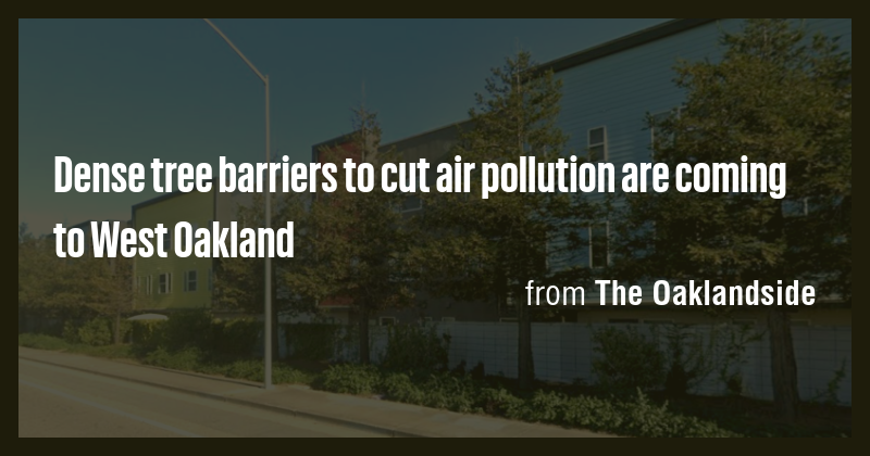 Dense tree barriers to cut air pollution are coming to West Oakland ...