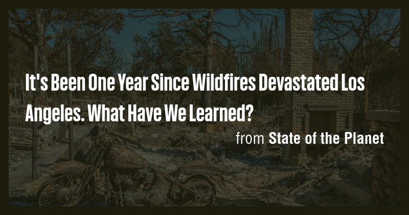 It's Been One Year Since Wildfires Devastated Los Angeles. What Have We ...