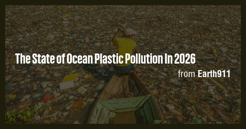The State of Ocean Plastic Pollution In 2026 - Briefly