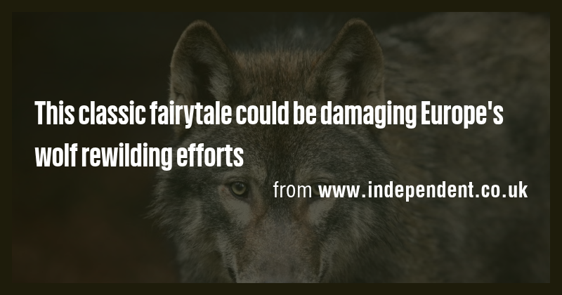 This classic fairytale could be damaging Europe's wolf rewilding ...