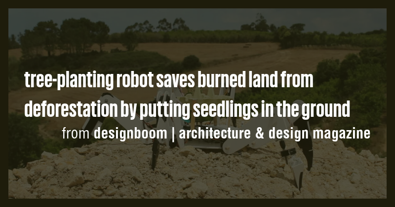 tree-planting robot saves burned land from deforestation by putting ...