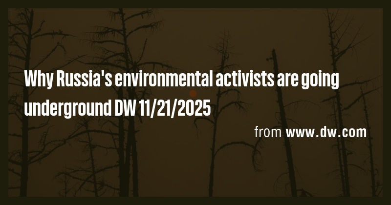 Why Russia's environmental activists are going underground DW 11/21 ...