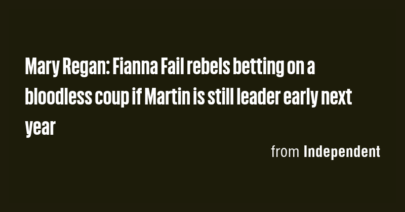 Mary Regan: Fianna Fail rebels betting on a bloodless coup if Martin is ...