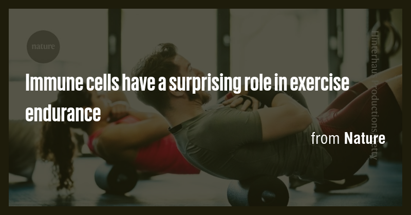 Immune cells have a surprising role in exercise endurance - Briefly