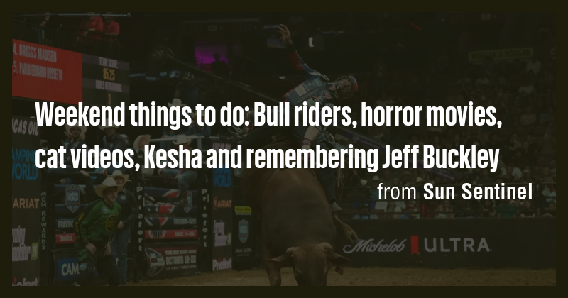 Weekend things to do: Bull riders, horror movies, cat videos, Kesha and ...