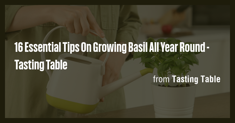 16 Essential Tips On Growing Basil All Year Round - Tasting Table - Briefly