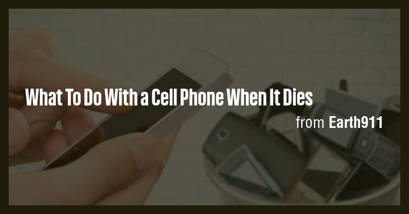 What To Do With a Cell Phone When It Dies - Briefly