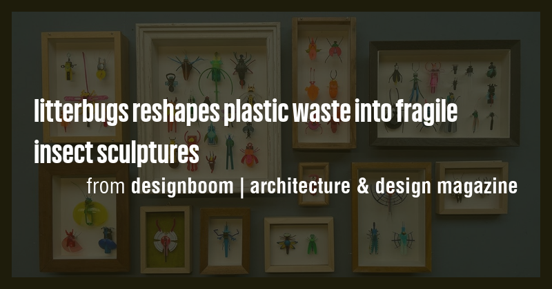 litterbugs reshapes plastic waste into fragile insect sculptures - Briefly