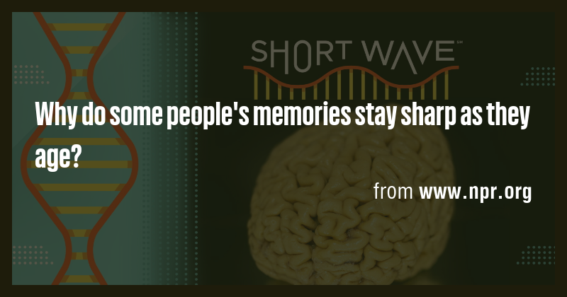 Why do some people's memories stay sharp as they age? - Briefly