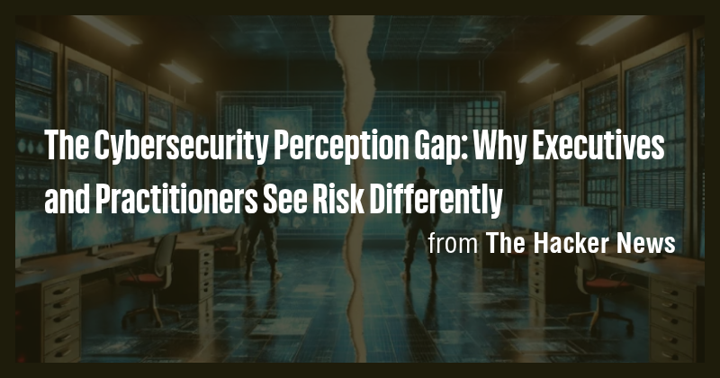 The Cybersecurity Perception Gap: Why Executives and Practitioners See ...