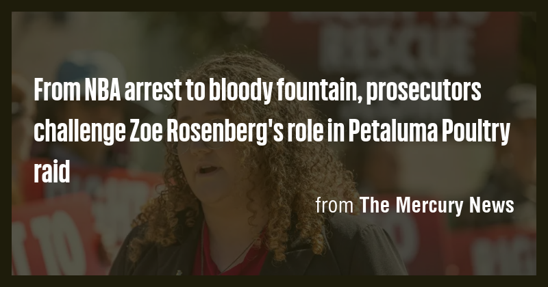 From NBA arrest to bloody fountain, prosecutors challenge Zoe Rosenberg ...