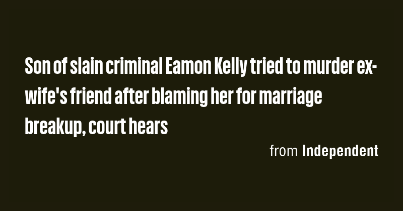 Son of slain criminal Eamon Kelly tried to murder ex-wife's friend ...