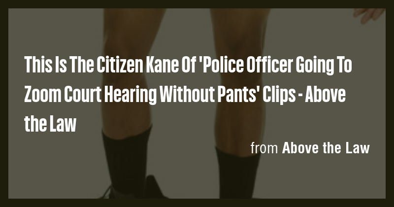 This Is The Citizen Kane Of 'Police Officer Going To Zoom Court Hearing ...
