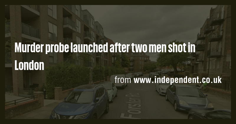 Murder probe launched after two men shot in London - Briefly