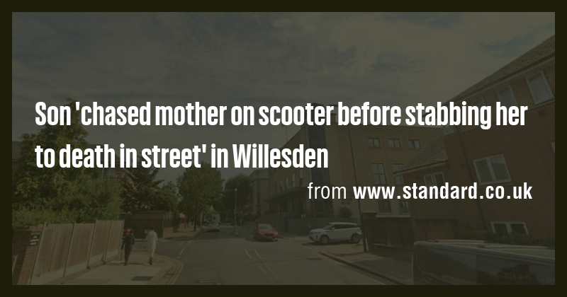 Son 'chased mother on scooter before stabbing her to death in street ...