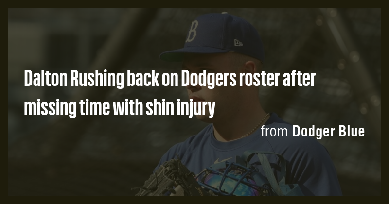 Dalton Rushing back on Dodgers roster after missing time with shin ...