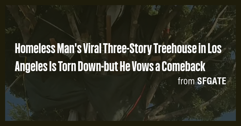 Homeless Man's Viral Three-Story Treehouse in Los Angeles Is Torn Down ...