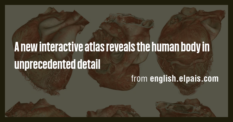 A new interactive atlas reveals the human body in unprecedented detail ...