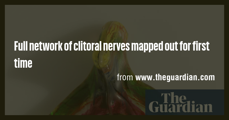 Full network of clitoral nerves mapped out for first time - Briefly