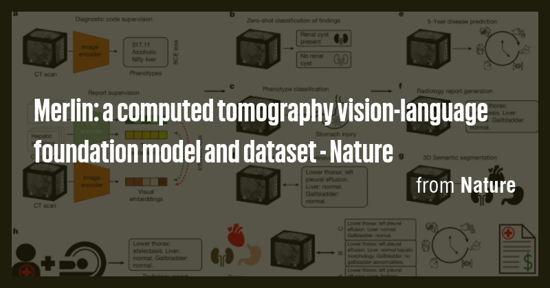 Merlin: a computed tomography vision-language foundation model and ...