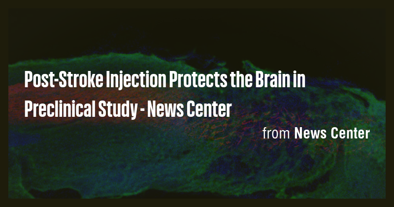 Post-Stroke Injection Protects the Brain in Preclinical Study - News ...