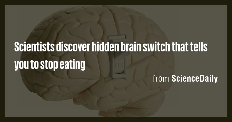 Scientists discover hidden brain switch that tells you to stop eating ...