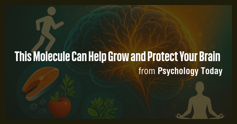 This Molecule Can Help Grow and Protect Your Brain - Briefly