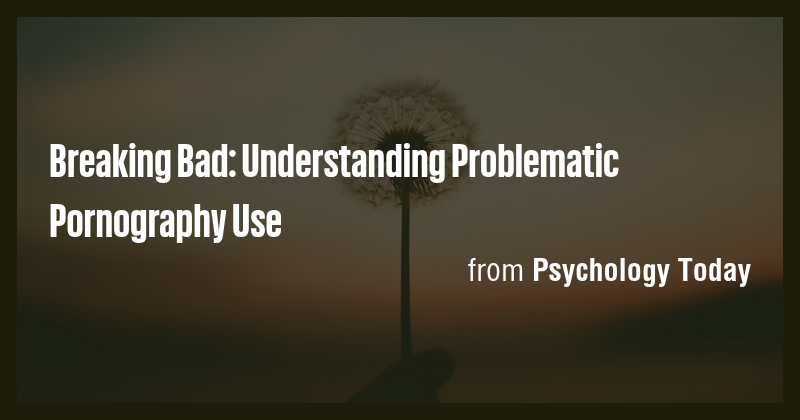 Breaking Bad: Understanding Problematic Pornography Use - Briefly