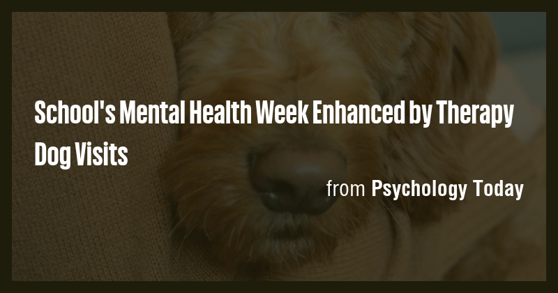 School's Mental Health Week Enhanced by Therapy Dog Visits - Briefly