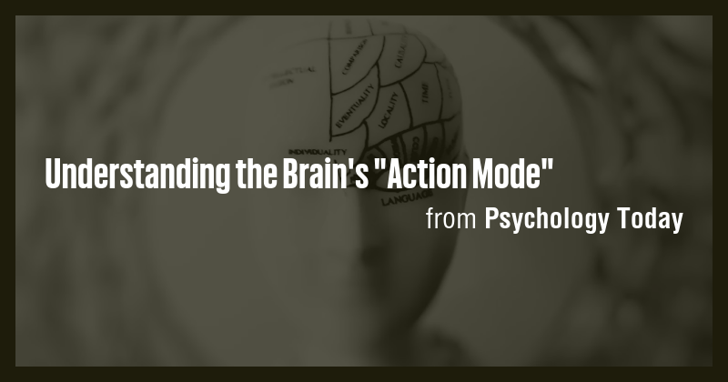 Understanding the Brain's 