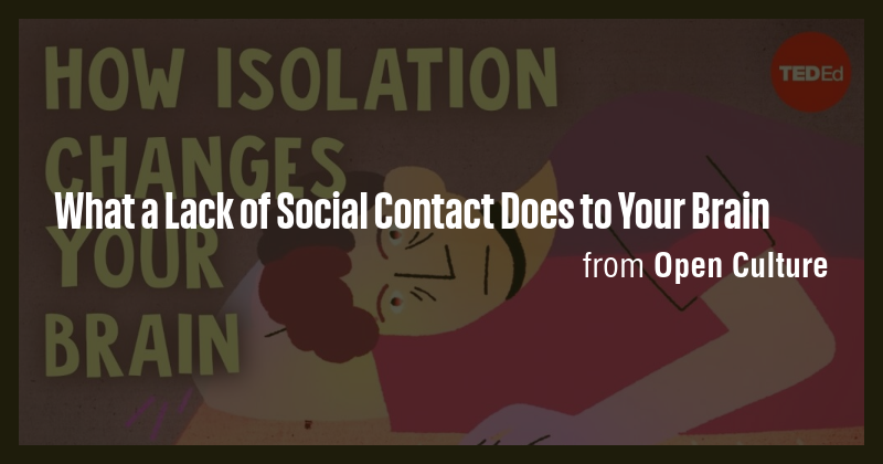 What a Lack of Social Contact Does to Your Brain - Briefly