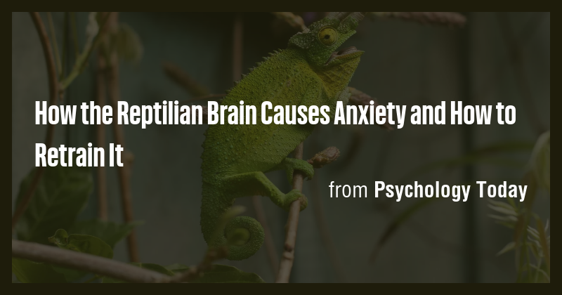 How the Reptilian Brain Causes Anxiety and How to Retrain It - Briefly