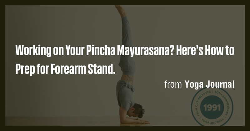 Working on Your Pincha Mayurasana? Here's How to Prep for Forearm Stand ...