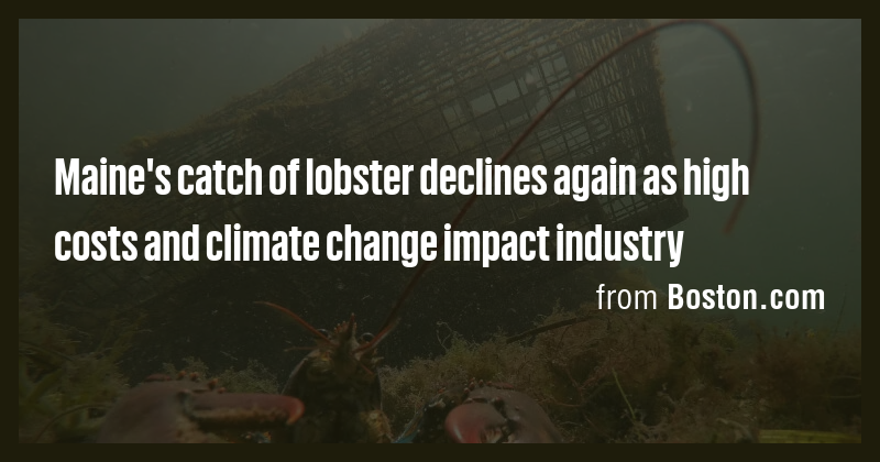 Maine's catch of lobster declines again as high costs and climate ...