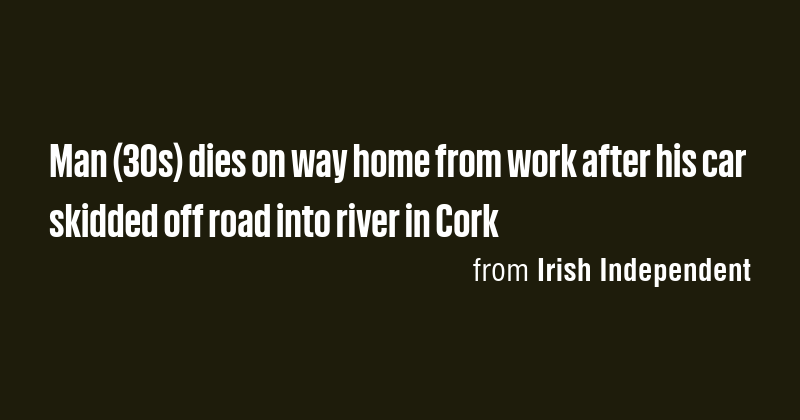 Man (30s) dies on way home from work after his car skidded off road ...